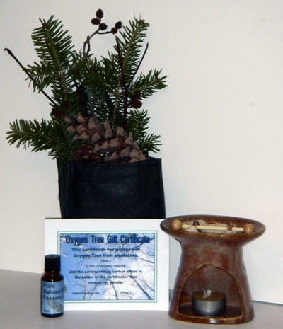 Essential Oil Gift Bag