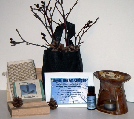 Essential Oil and Soap Gift Bag